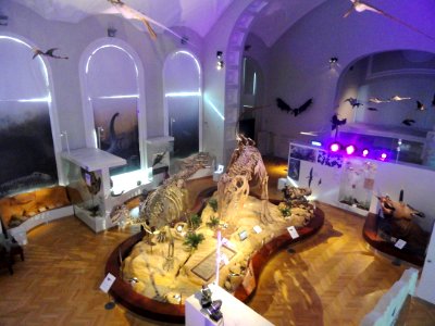 Dinosaur room - Finnish Museum of Natural History - DSC04538