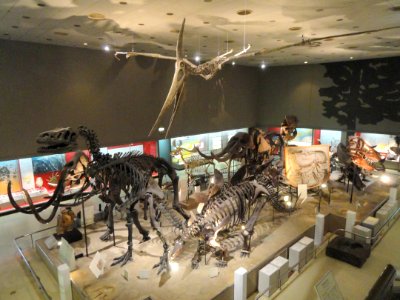Dinosaur room - Osaka Museum of Natural History - DSC07815