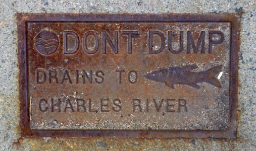 Don't Dump, Drains to Charles River - Cambridge, MA - DSC08944