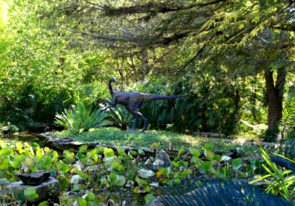 Dinosaur sculpture - Hartman Prehistoric Garden - Zilker Botanical Garden - Austin, Texas - DSC08891 photo