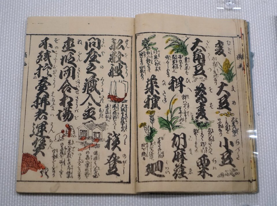Ehon shobai Orai, picture textbook for elementary schools using letter exchange to teach business knowledge, 1836 AD - Edo-Tokyo Museum - Sumida, Tokyo, Japan - DSC06704