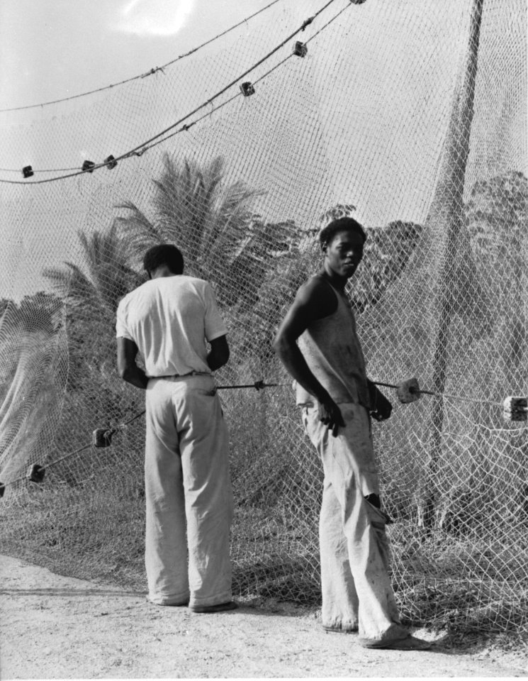 Dutch West Indies. Natives mending fish nets in Surinam West-Indië. Surinamers …, Bestanddeelnr 935-1489