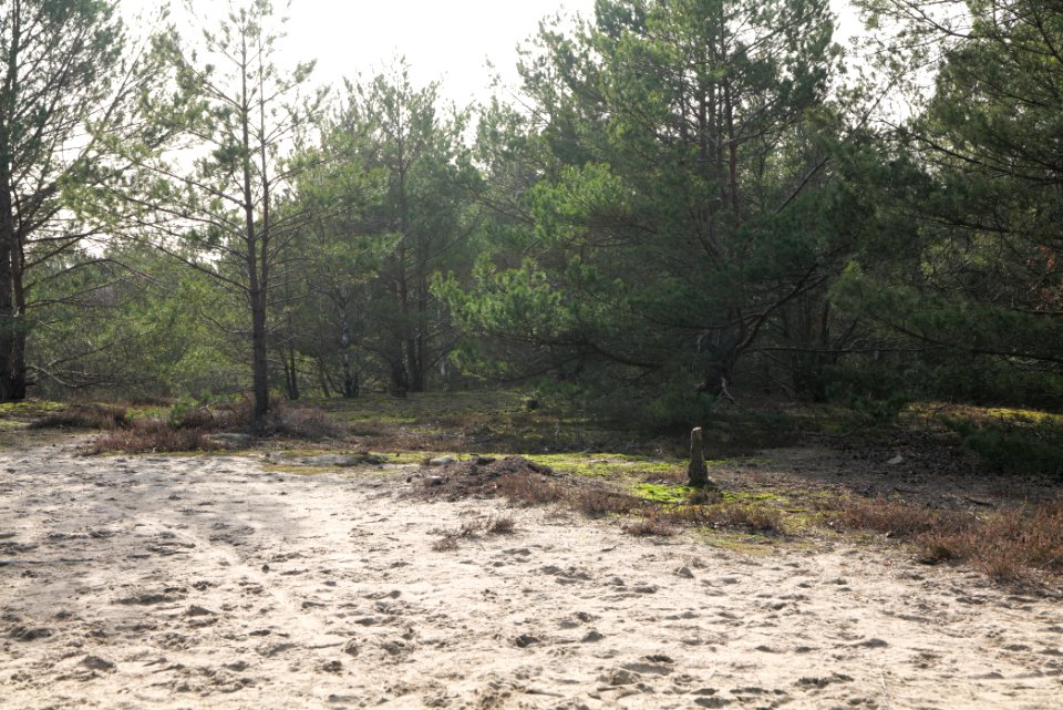 Eichberg in SAC Saarmunder Berg 2021-02-24 16