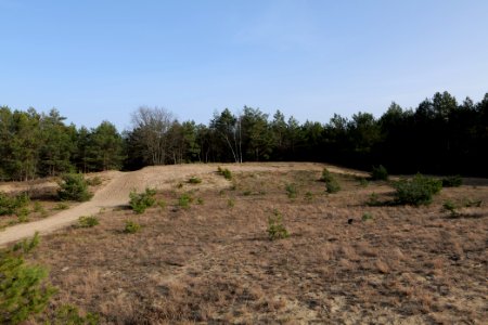 Eichberg in SAC Saarmunder Berg 2021-02-24 08
