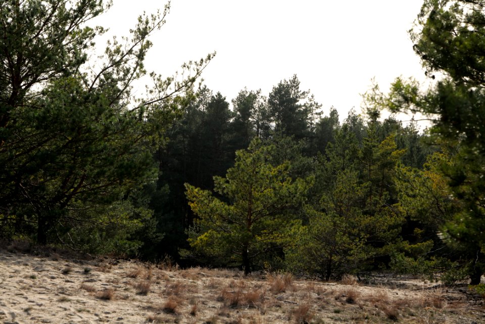 Eichberg in SAC Saarmunder Berg 2021-02-24 12