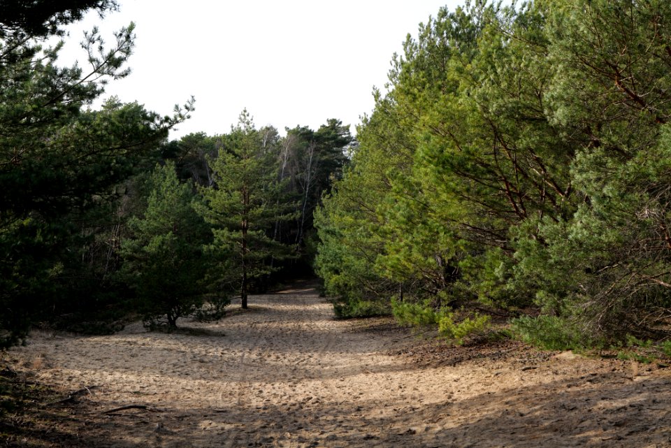 Eichberg in SAC Saarmunder Berg 2021-02-24 19