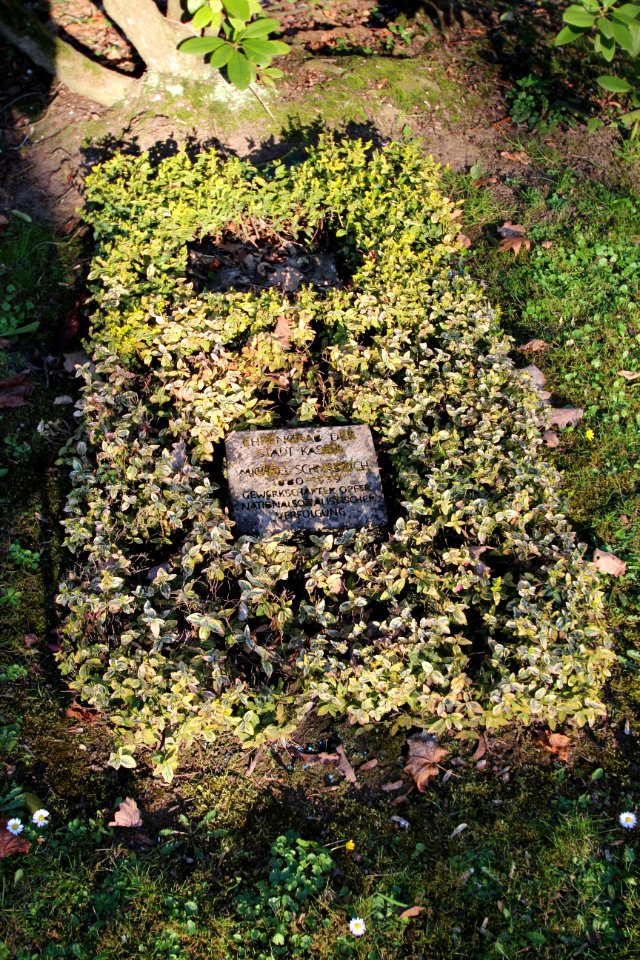 Ehrengrab Michael Schnabrich (Hauptfriedhof Kassel)