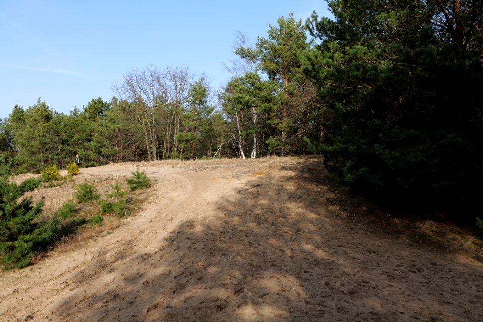 Eichberg in SAC Saarmunder Berg 2021-02-24 04