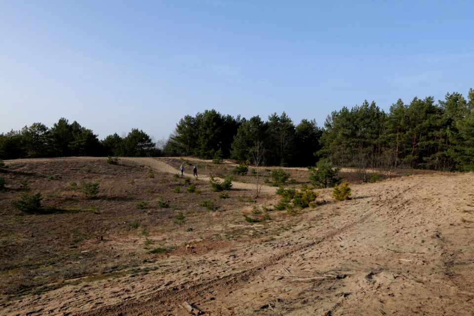 Eichberg in SAC Saarmunder Berg 2021-02-24 07