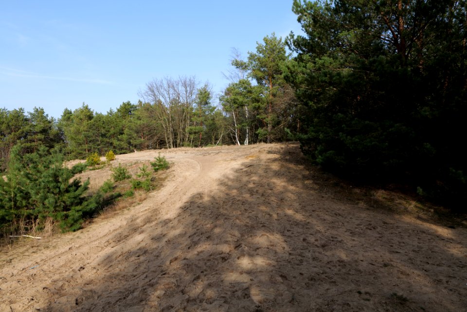 Eichberg in SAC Saarmunder Berg 2021-02-24 03