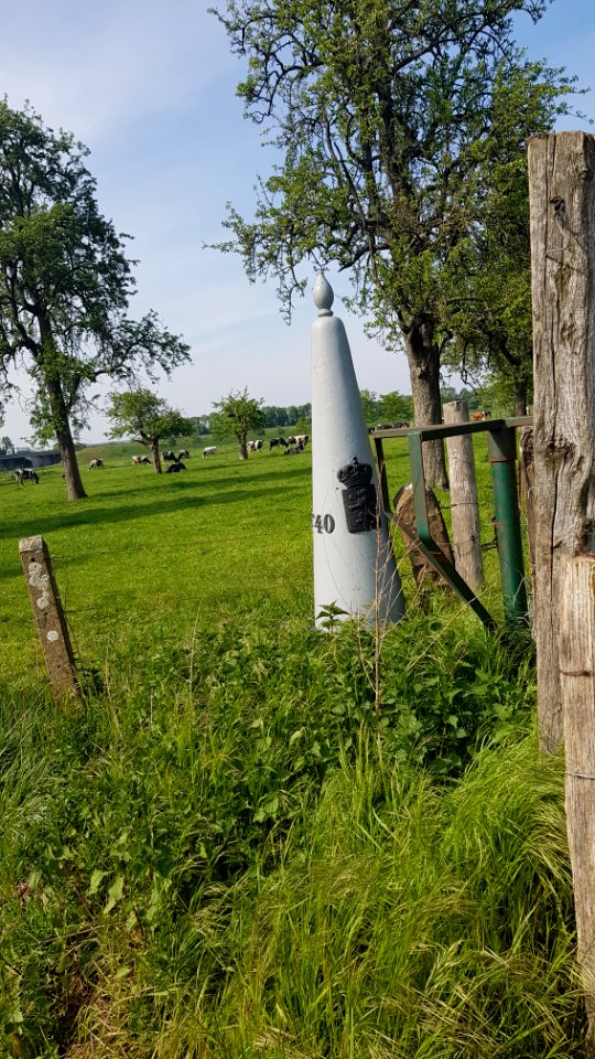 Eijsden-Moelingen-Grenspaal 40 (BE-NL) (6)
