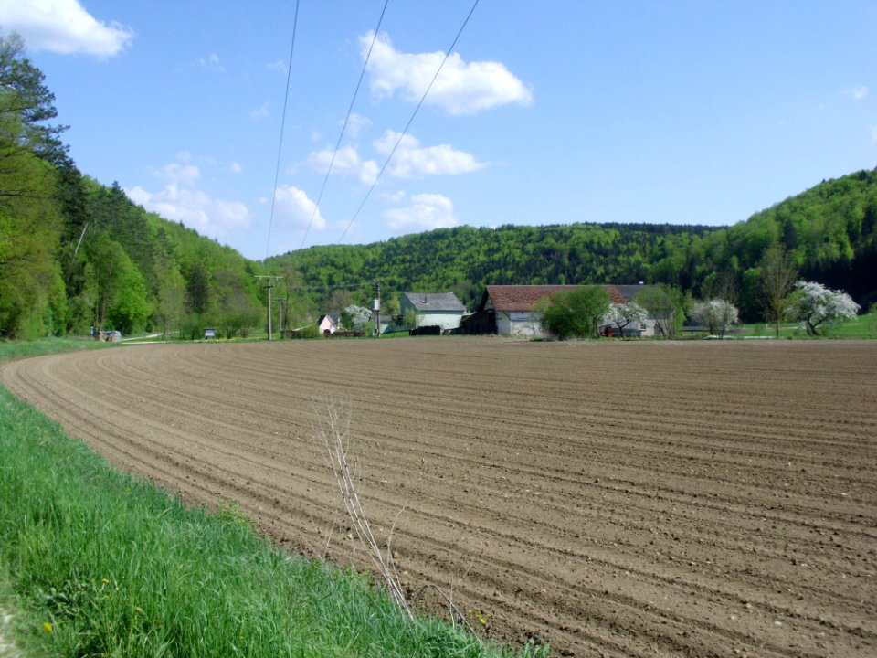 Eibwang 2012-05-02 (3)