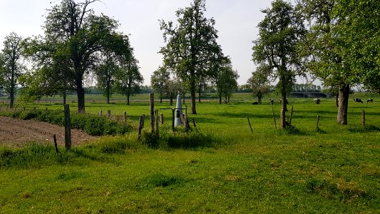 Eijsden-Moelingen-Grenspaal 40 (BE-NL) (3)