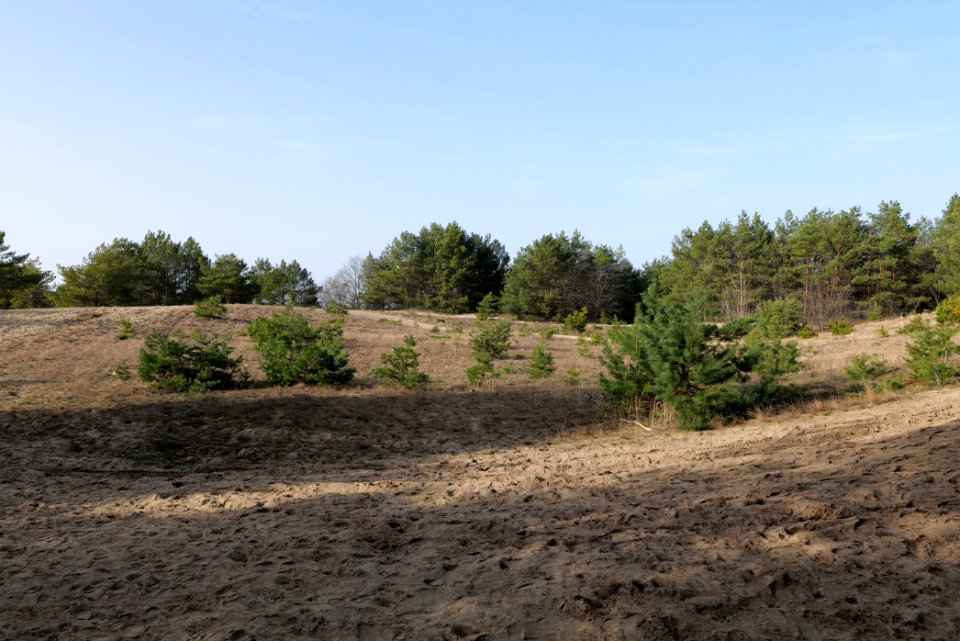 Eichberg in SAC Saarmunder Berg 2021-02-24 01