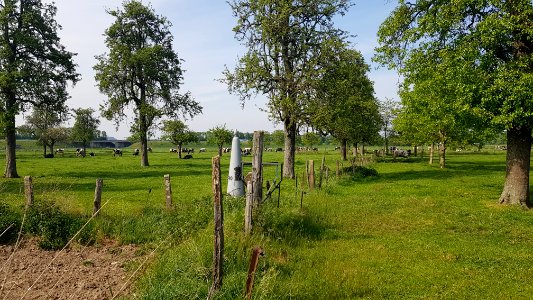 Eijsden-Moelingen-Grenspaal 40 (BE-NL) (7)