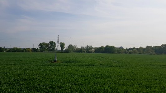 Eijsden-Moelingen-Grenspaal 44 (BE-NL) (1)
