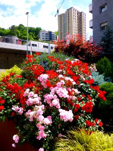 Eibar - Jardines 15