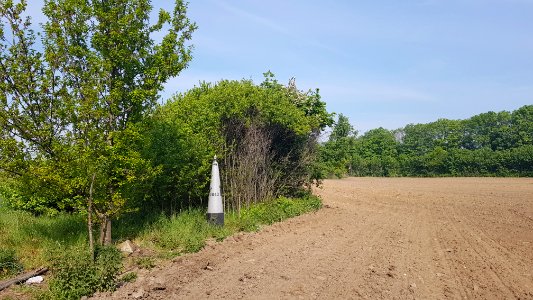Eijsden-Moelingen-Grenspaal 42 (BE-NL) (3)