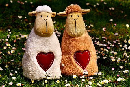 Valentine's day cute together