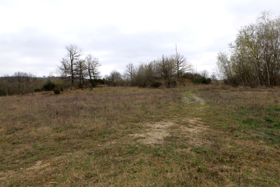 Eichkopf bei Ober-Mörlen 2021-04-02 08