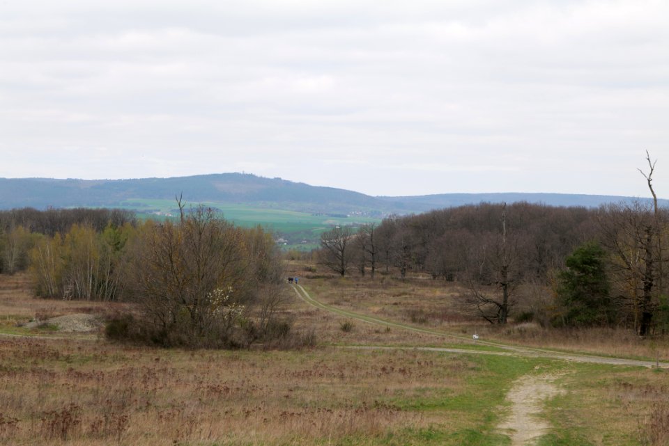 Eichkopf bei Ober-Mörlen 2021-04-02 20