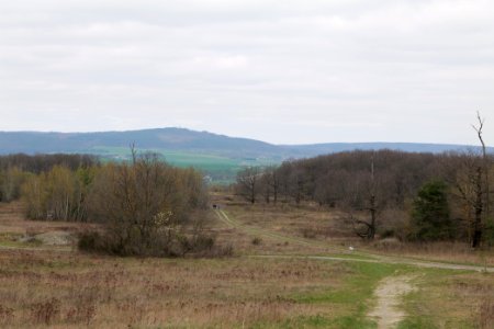 Eichkopf bei Ober-Mörlen 2021-04-02 20
