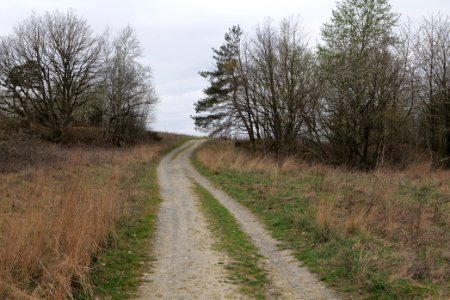 Eichkopf bei Ober-Mörlen 2021-04-02 06