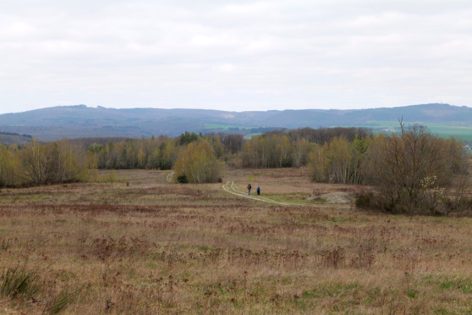 Eichkopf bei Ober-Mörlen 2021-04-02 23