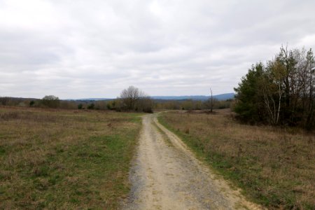 Eichkopf bei Ober-Mörlen 2021-04-02 10