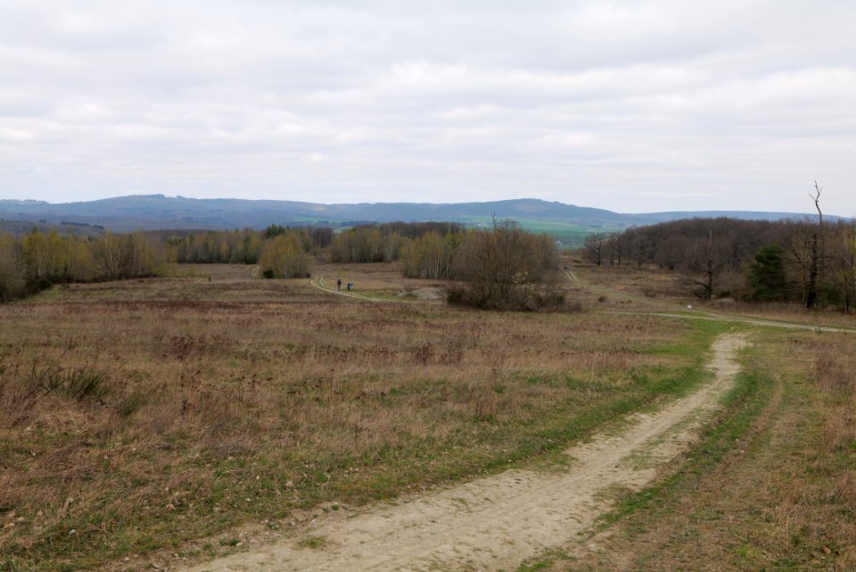 Eichkopf bei Ober-Mörlen 2021-04-02 22