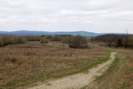 Eichkopf bei Ober-Mörlen 2021-04-02 22