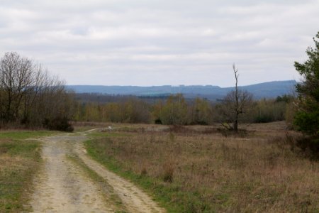 Eichkopf bei Ober-Mörlen 2021-04-02 11