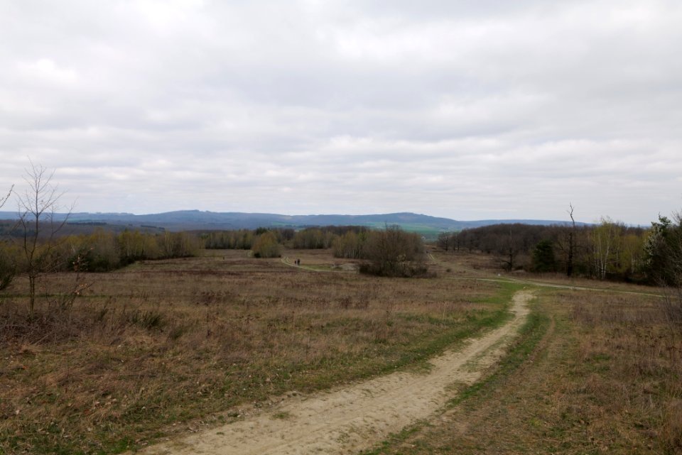Eichkopf bei Ober-Mörlen 2021-04-02 21