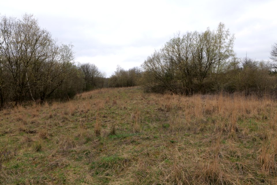Eichkopf bei Ober-Mörlen 2021-04-02 05