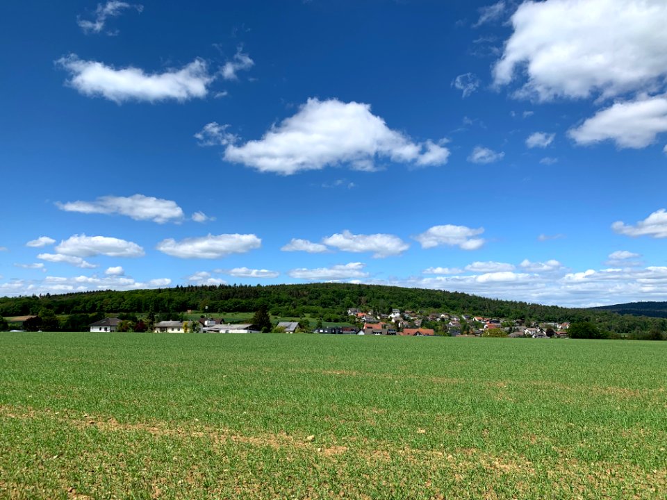 Eichkopf (1)