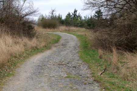 Eichkopf bei Ober-Mörlen 2021-04-02 02