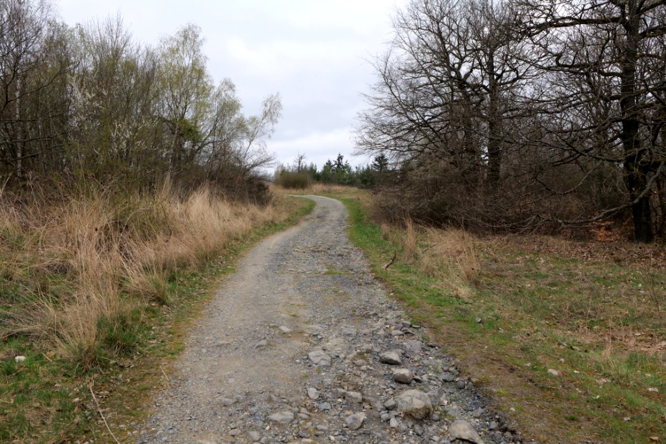 Eichkopf bei Ober-Mörlen 2021-04-02 01