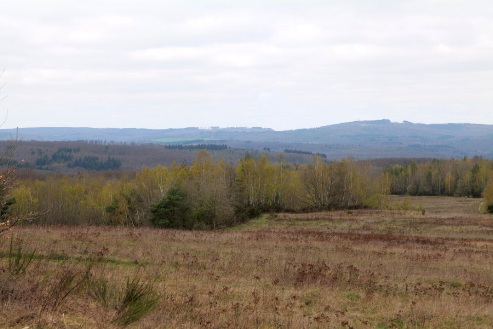 Eichkopf bei Ober-Mörlen 2021-04-02 24