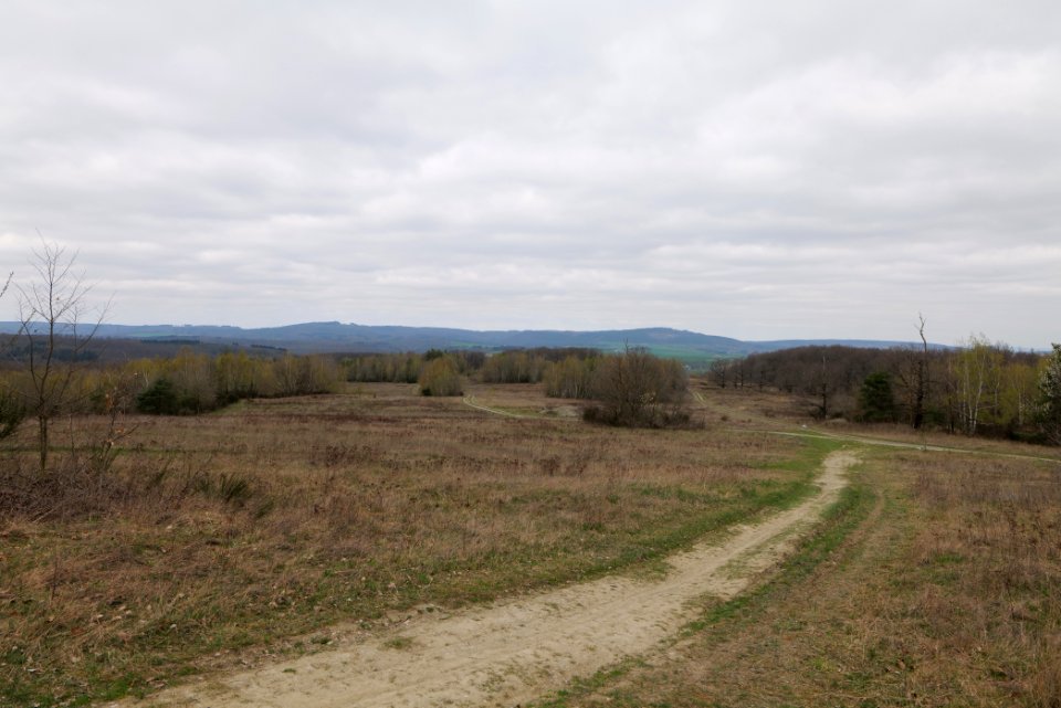 Eichkopf bei Ober-Mörlen 2021-04-02 16