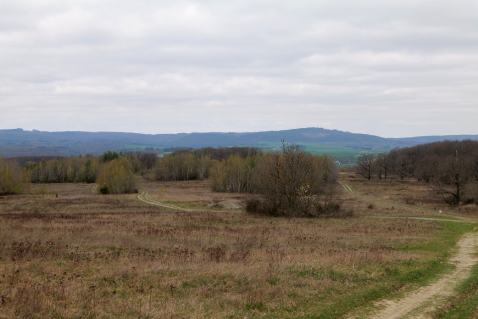 Eichkopf bei Ober-Mörlen 2021-04-02 17
