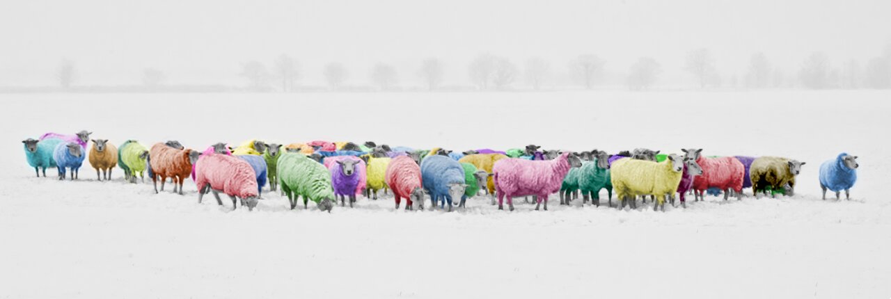 Rainbow pantone multicolor