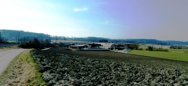 Eichholz (2)