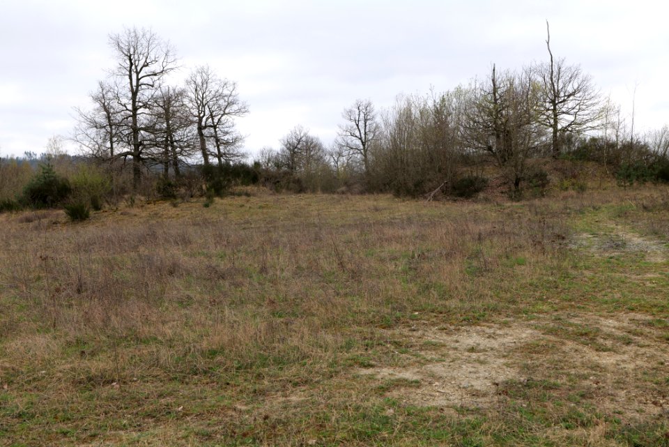 Eichkopf bei Ober-Mörlen 2021-04-02 09
