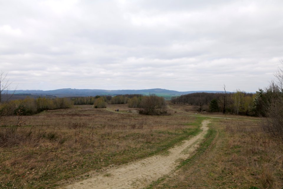 Eichkopf bei Ober-Mörlen 2021-04-02 19