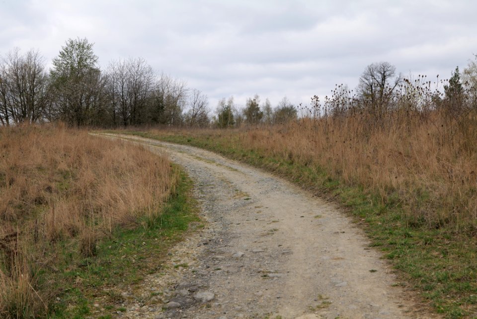 Eichkopf bei Ober-Mörlen 2021-04-02 04