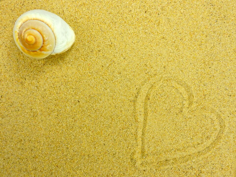 Nature summer background