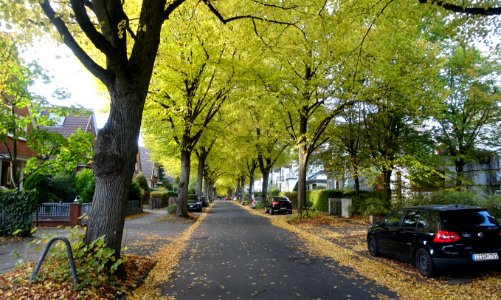 Eickhoffweg in Hamburg-Wandsbek