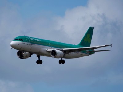 EI-CVC Airbus A320-214 - Aer Lingus, 12Aug2014, landing at Schiphol (AMS - EHAM), The Netherlands, pic1