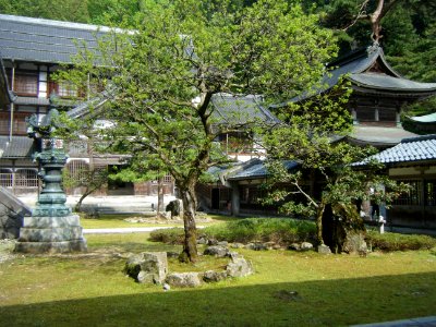 Eiheiji 2010 06