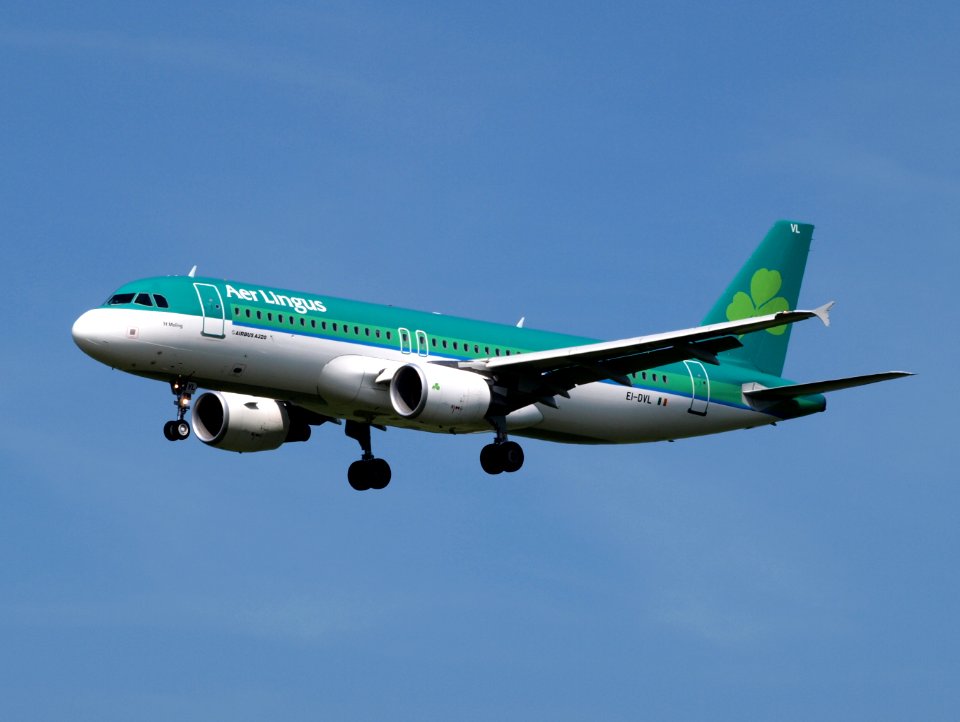 EI-DVL Aer Lingus Airbus A320-214 - cn 4678 pic1